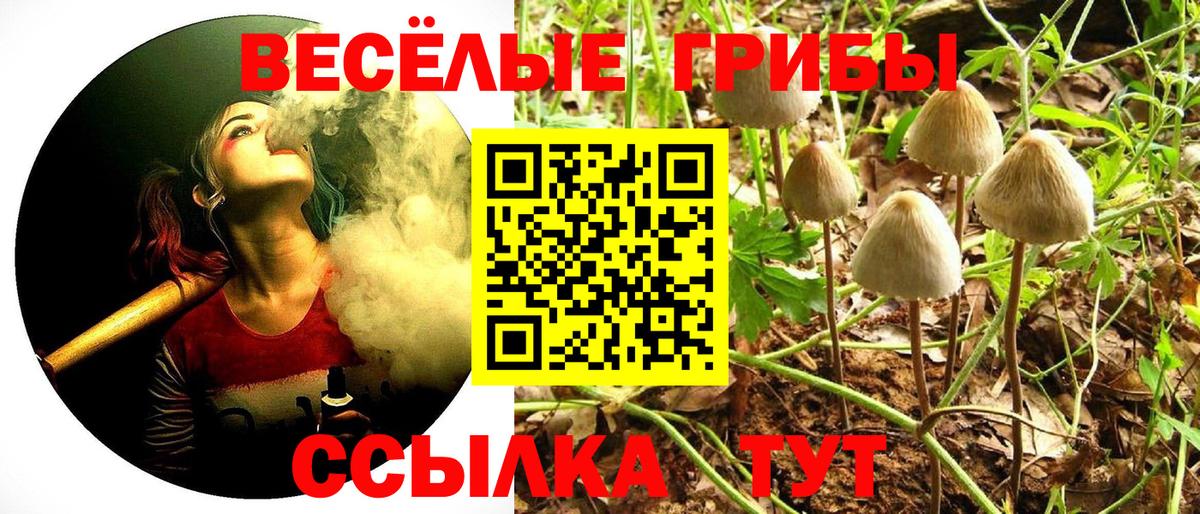 Галлюциногенные грибы MAGIC MUSHROOMS Тимашёвск