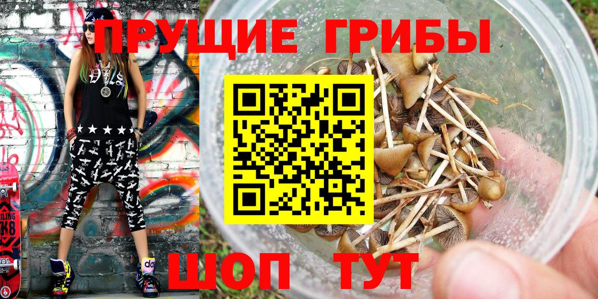 Псилоцибиновые грибы Psilocybe  Вход с VPN  Тимашёвск 
